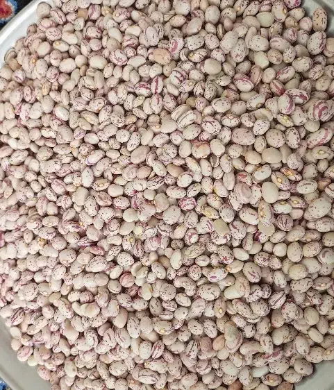 فروش ویژه لوبیا چیتی پاک شده 330|خوردنی و آشامیدنی|برخوار, |دیوار