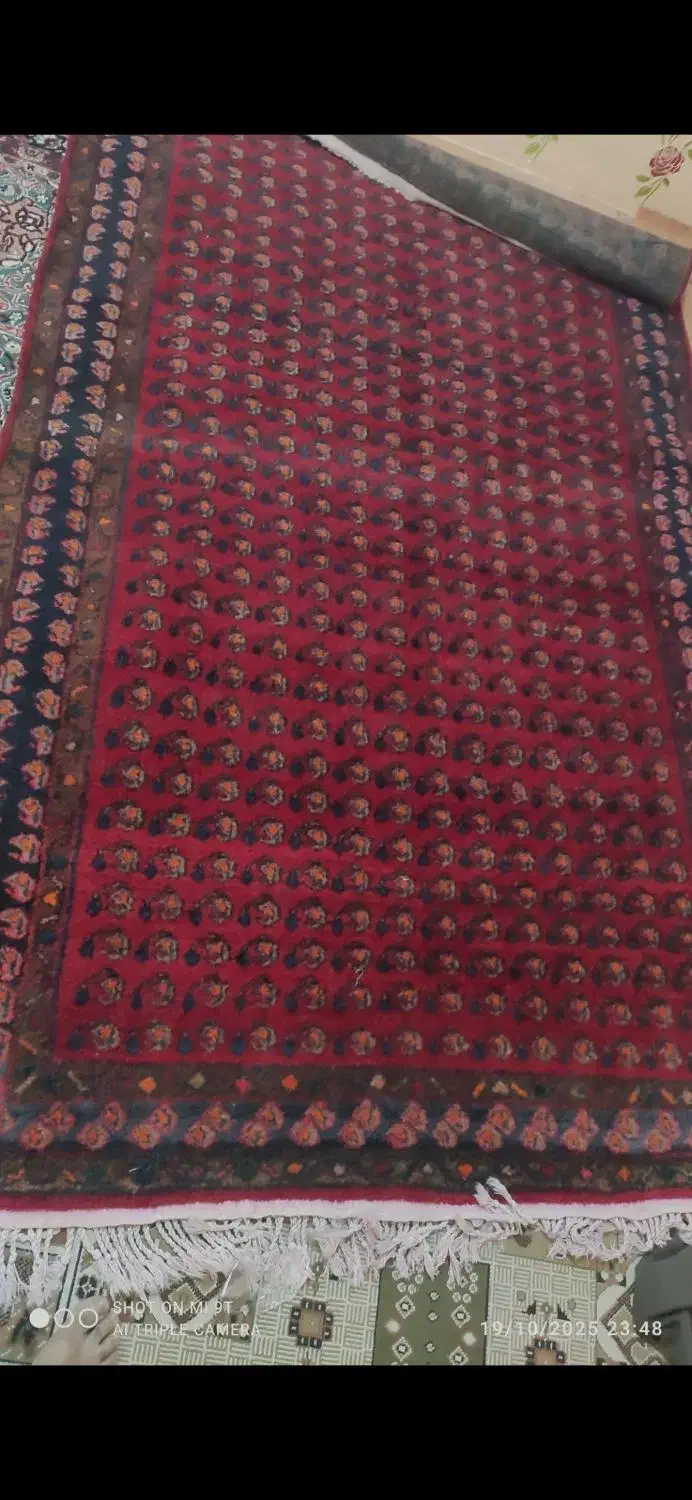 قالیچه قدیمی|گلیم، جاجیم، گبه|ایلام, |دیوار