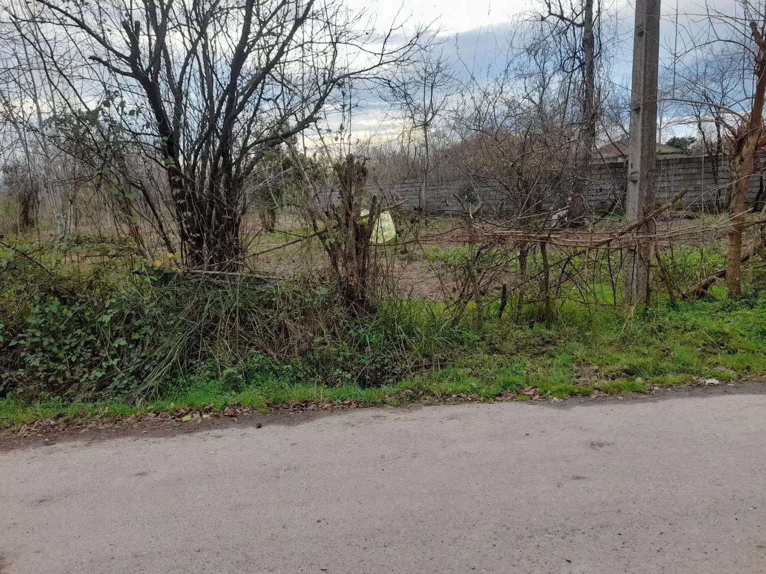 زمین مسکونی تک برگ سند|فروش زمین و ملک کلنگی|رودبنه, |دیوار