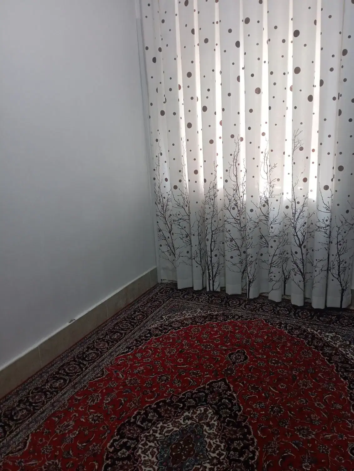 پرده|پرده، رانر، رومیزی|ساوه, |دیوار