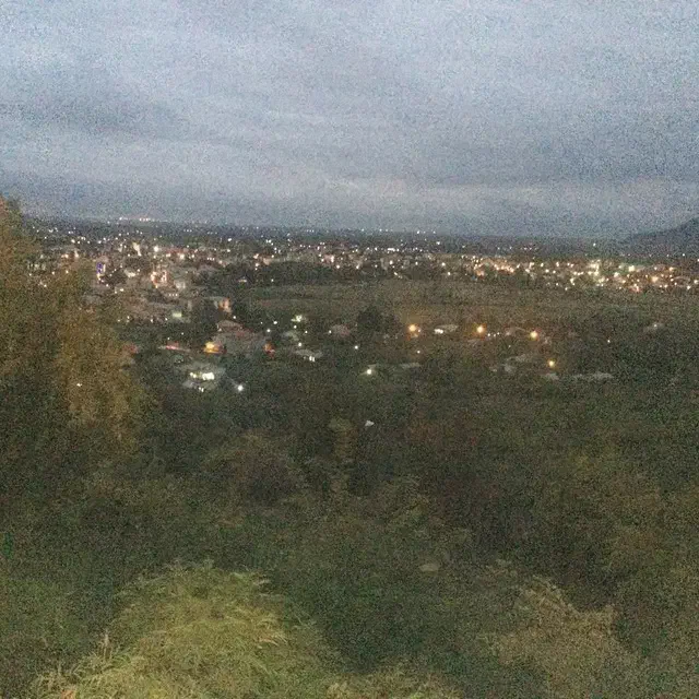 همخونه همخانه