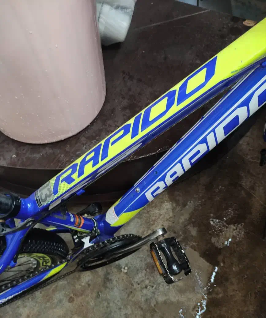 دوچرخه ۲۴ راپیدو.|دوچرخه، اسکیت، اسکوتر|مسجد سلیمان, |دیوار