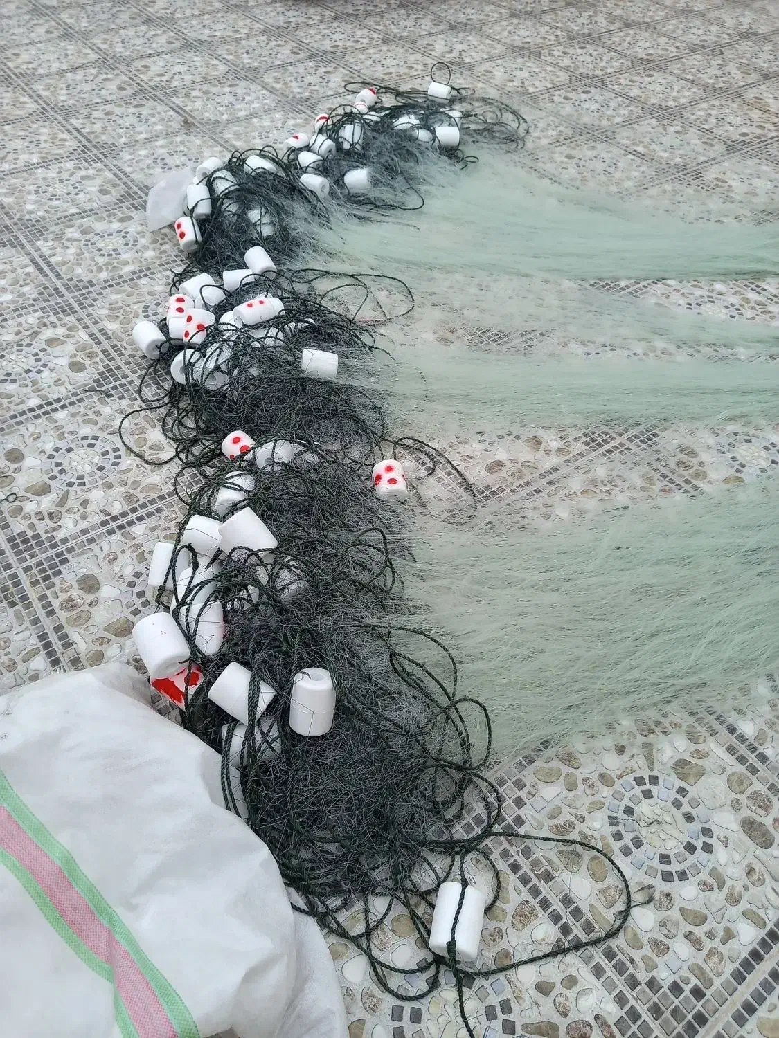 تور جشی|ماهیگیری|دلوار, |دیوار