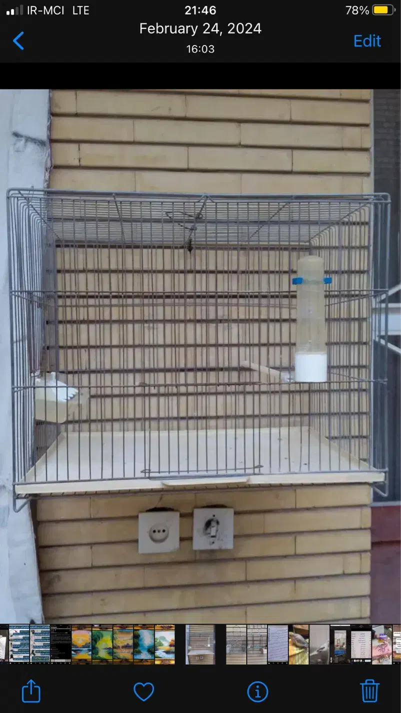 قفس پرنده|لوازم جانبی حیوانات|شیراز, شهرک استقلال|دیوار