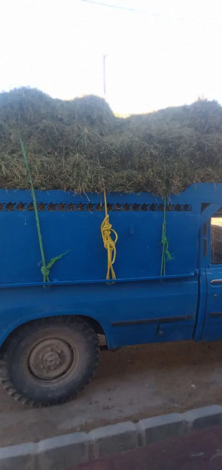 پرس یونجه|لوازم جانبی حیوانات|گرمخان, |دیوار