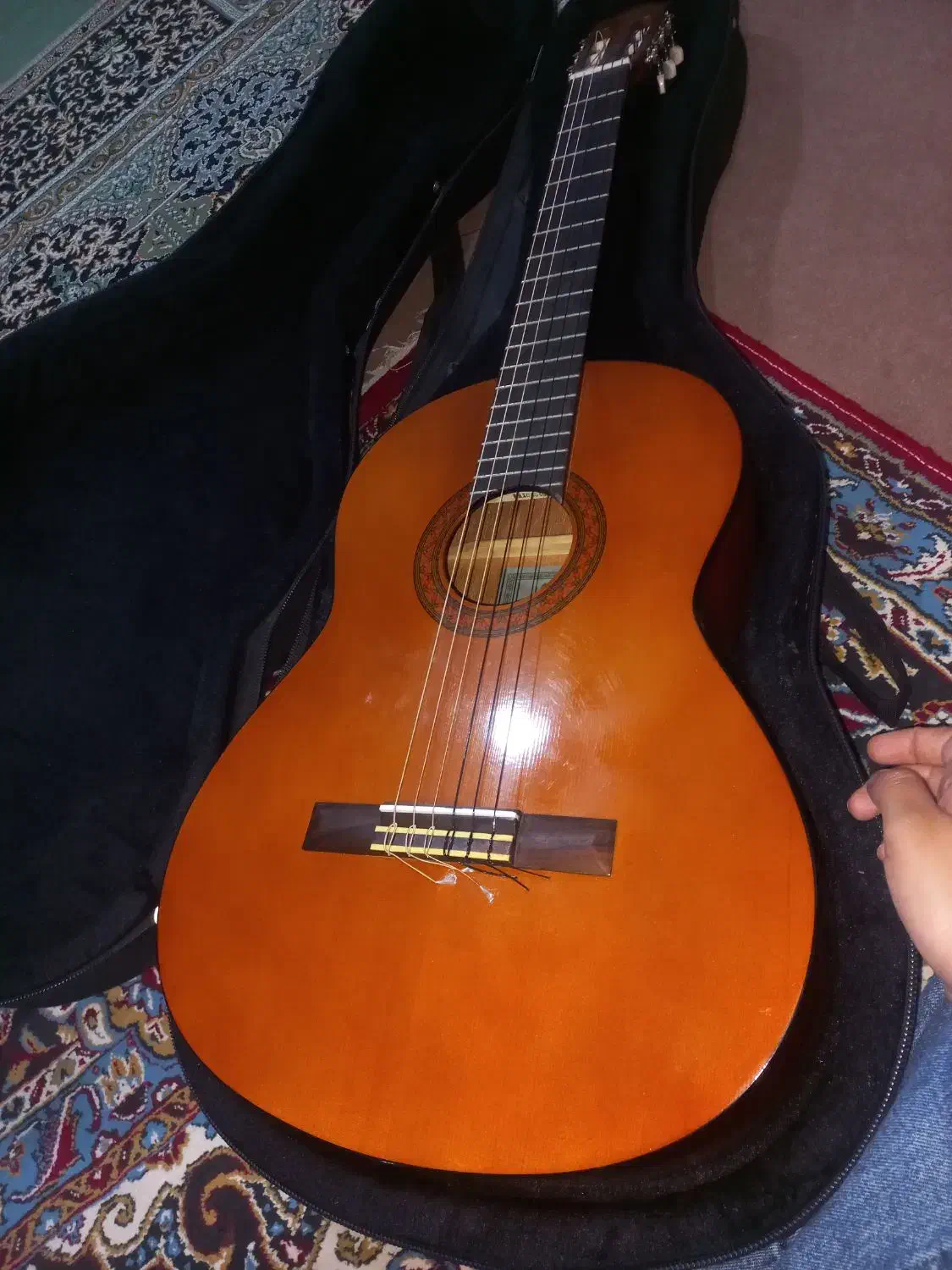 گیتار|گیتار، بیس، امپلیفایر|شاهرود, |دیوار