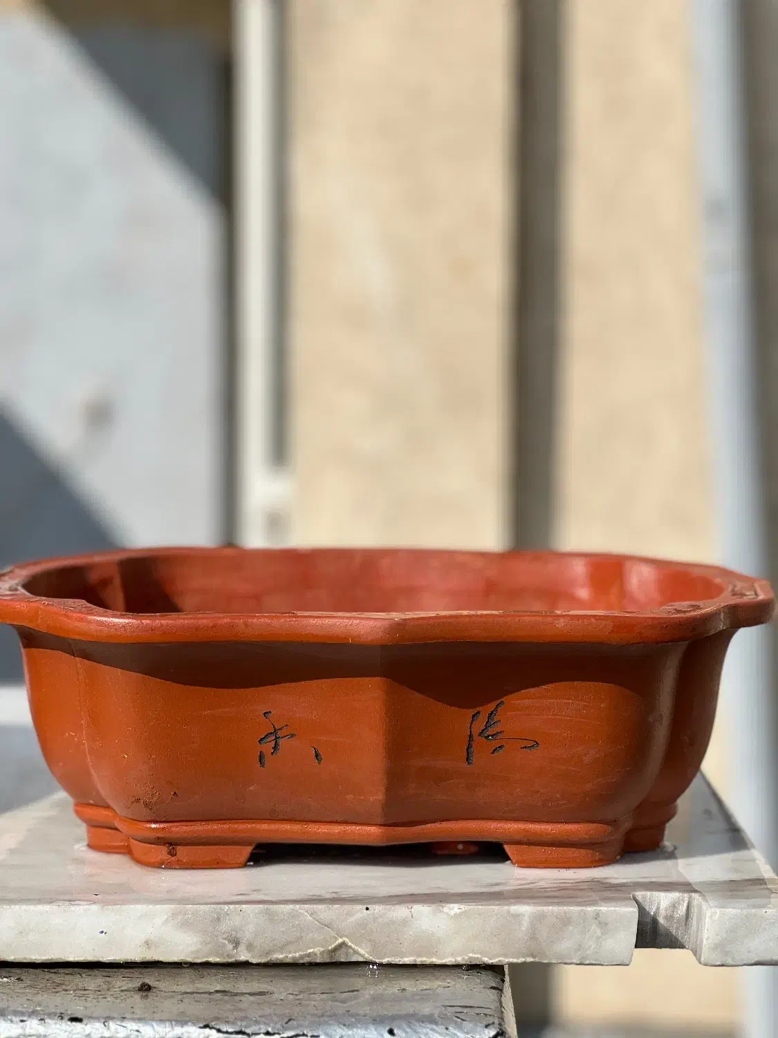 گلدان بنسای|گل و گیاه طبیعی|تهران, ایران|دیوار