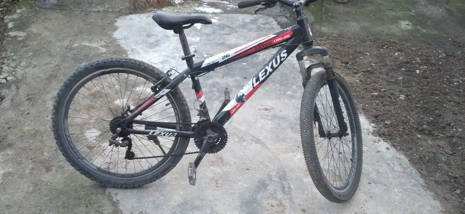 فونیکس ۲۶سایز بزرگ|دوچرخه، اسکیت، اسکوتر|اسالم, |دیوار