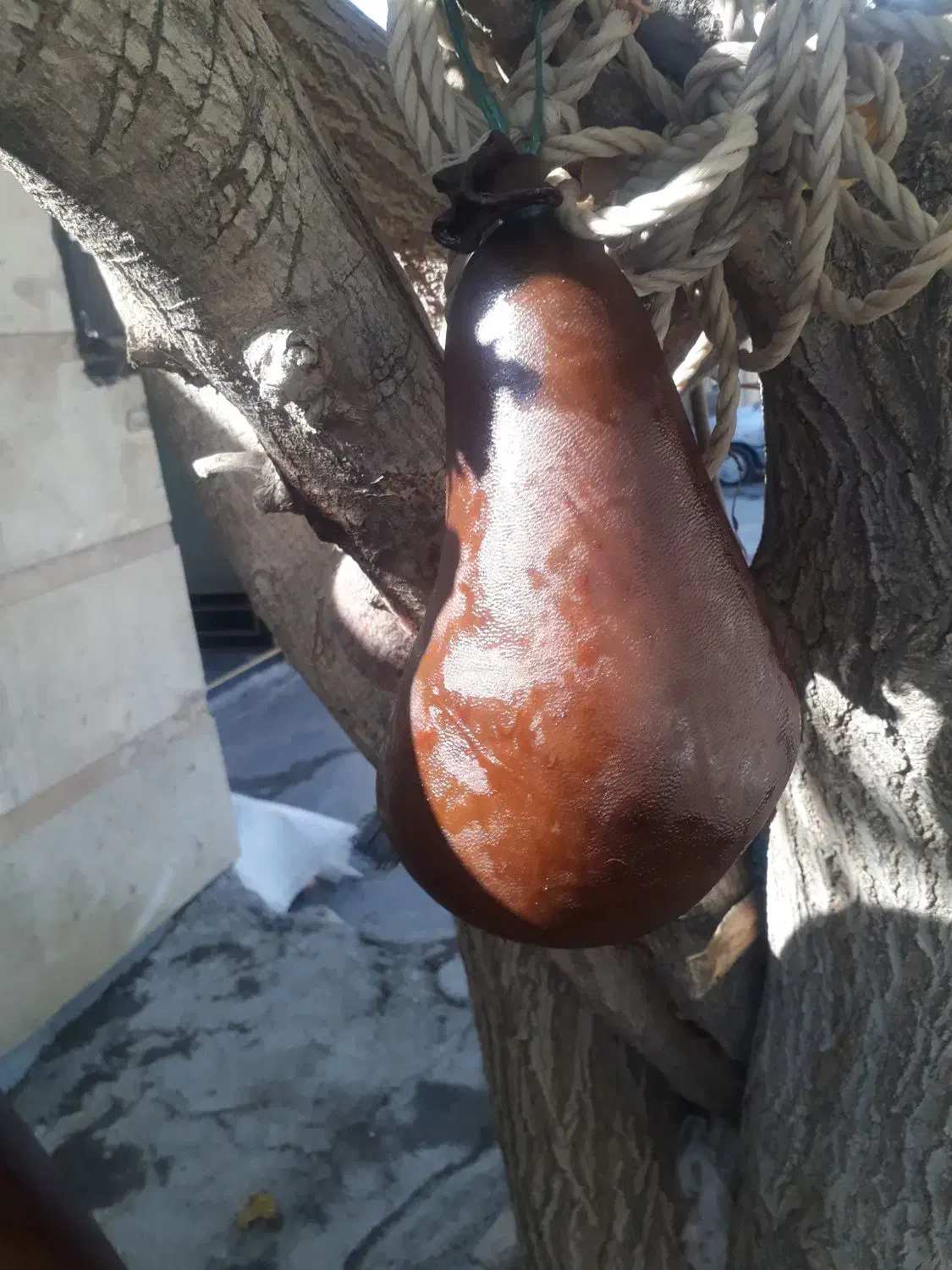 هیزه|ظروف نگهدارنده، پلاستیکی، یکبارمصرف|کرمانشاه, |دیوار