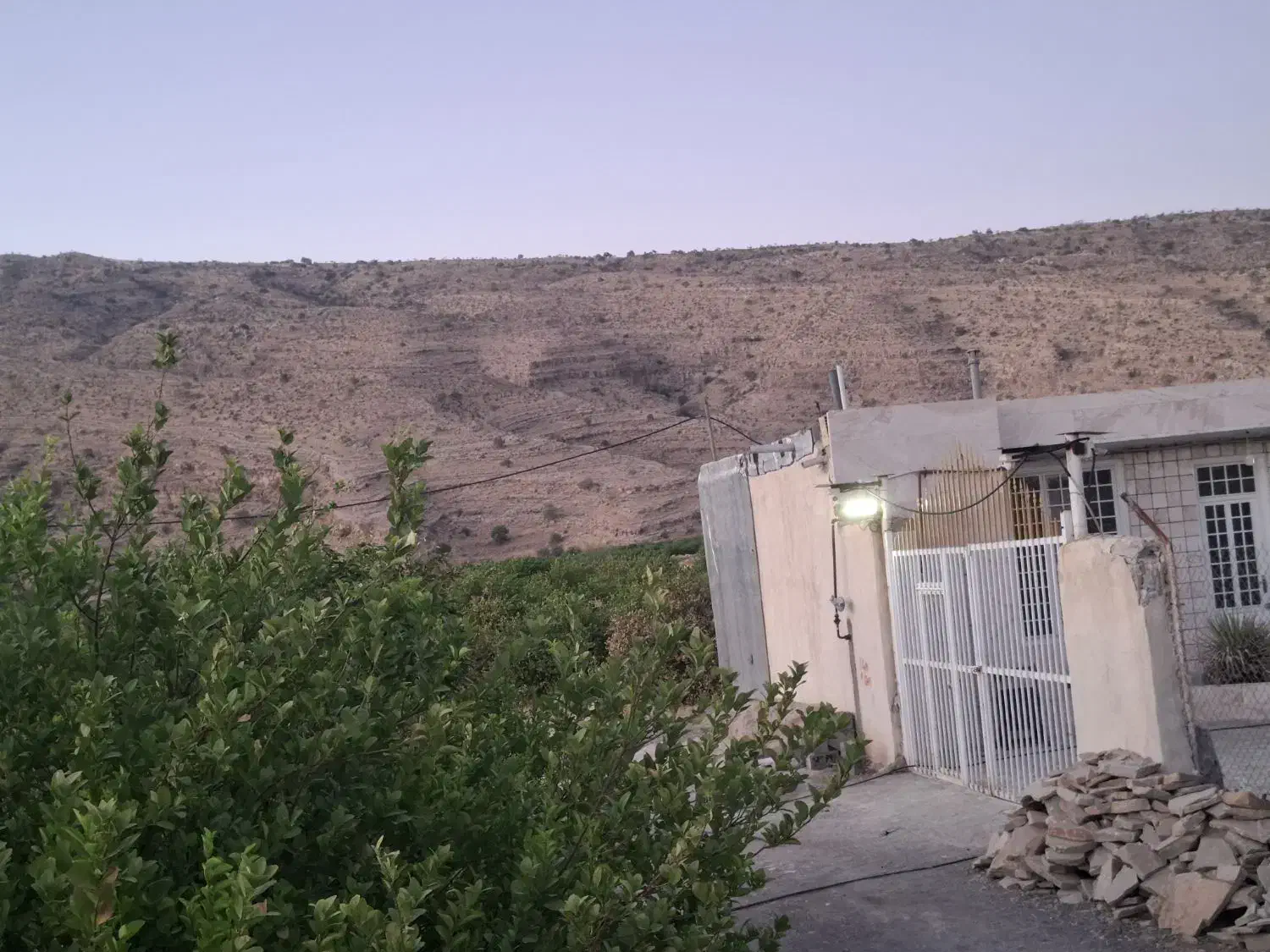 زمین درجه ۱ همراه با درخت در کلاغ نشین قیمت مناسب|فروش زمین و ملک کلنگی|دوگنبدان, |دیوار