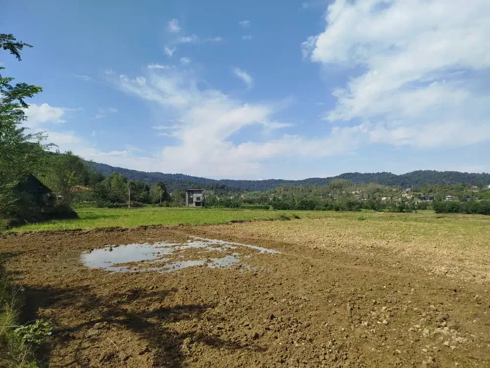 زمین شفت روستا بیجار سر|فروش زمین و ملک کلنگی|رشت, سلیمانداراب|دیوار