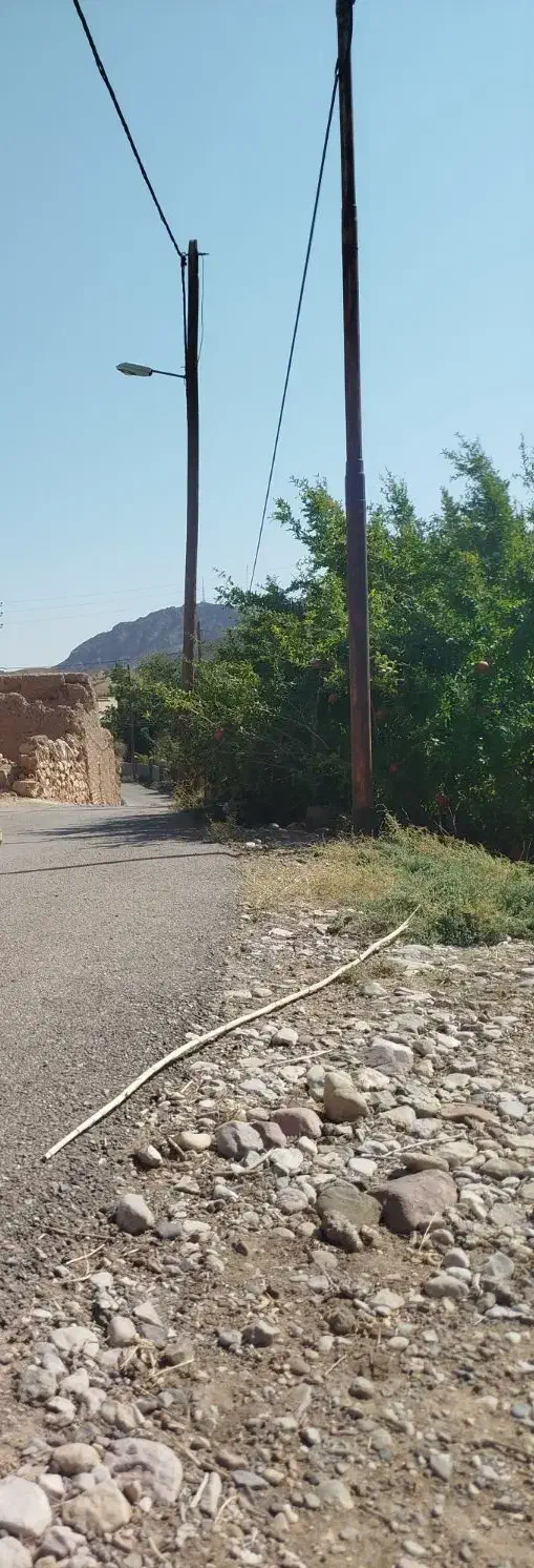 گردش|فعالیت داوطلبانه|سمنان, |دیوار