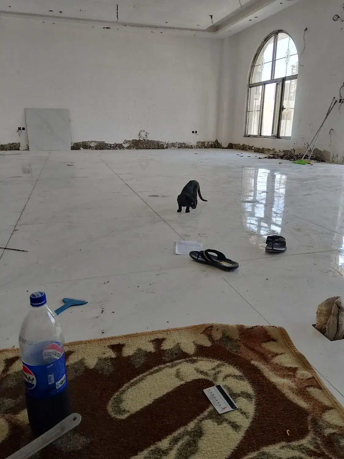 نصب کاشی وسرامیک چسبی وملاتی و اسلب|خدمات پیشه و مهارت|چابهار, |دیوار