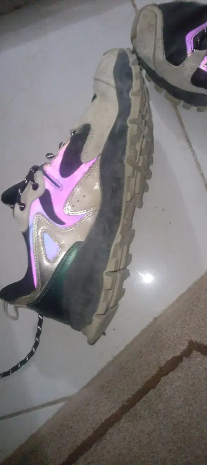 کفش اورجینال هومتو|کیف، کفش، کمربند|نیمبلوک, |دیوار