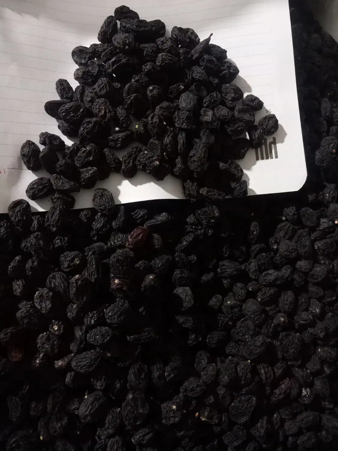 مویز درجه۱|خوردنی و آشامیدنی|فاضل آباد, |دیوار