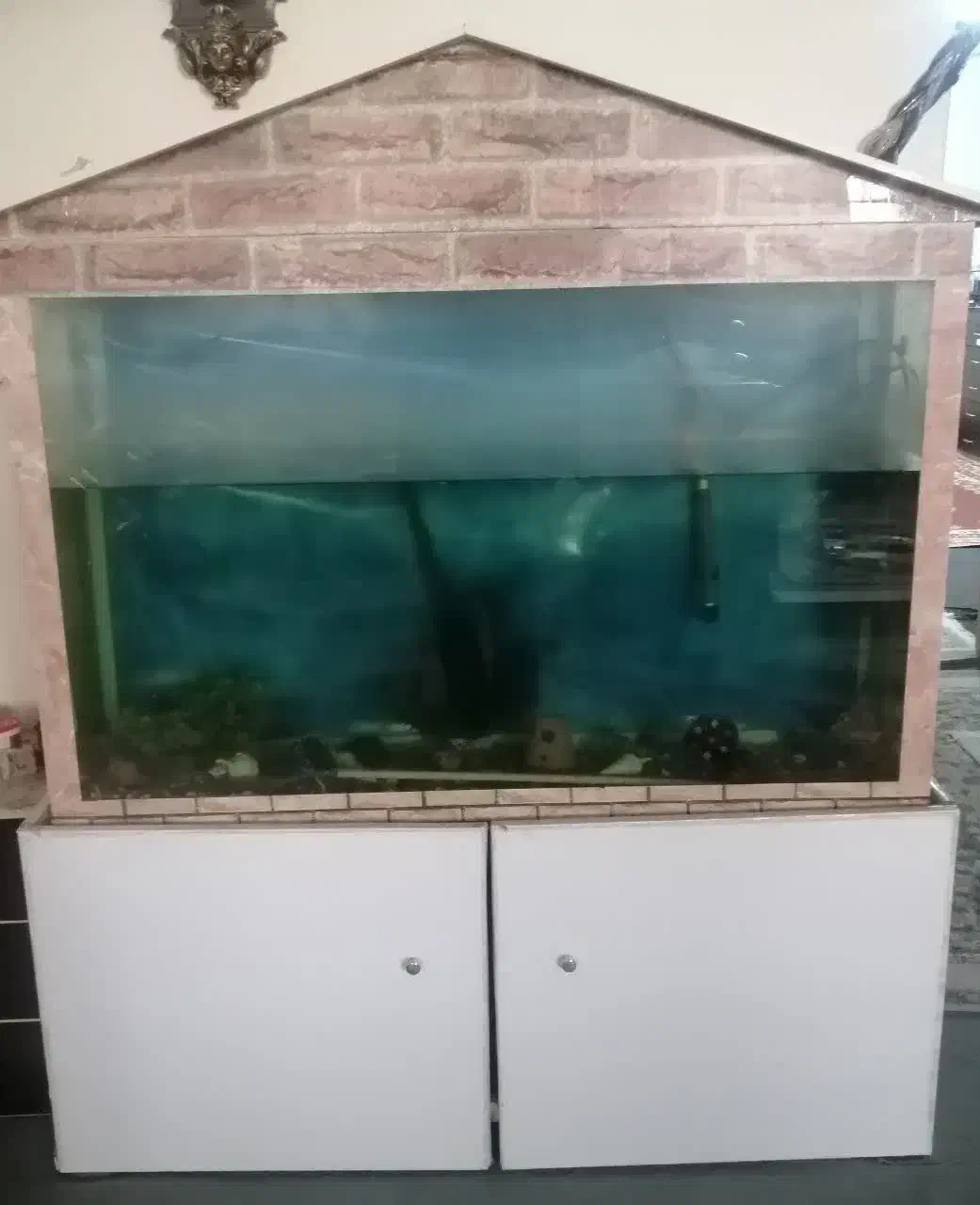 آکواریوم|ماهی|شاهرود, |دیوار