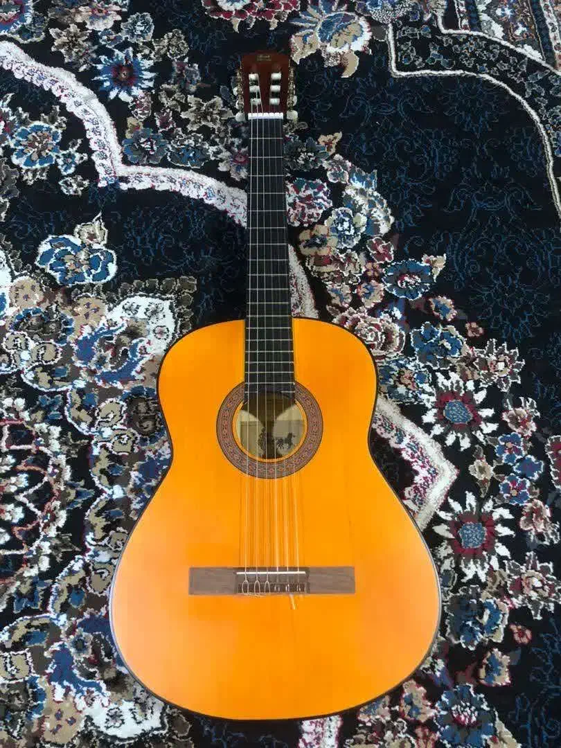 گیتار|گیتار، بیس، امپلیفایر|شیراز, بید زرد|دیوار