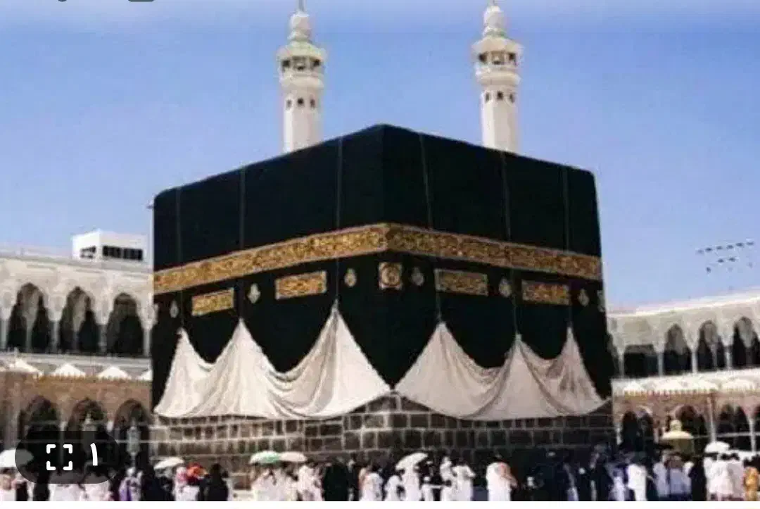 یک عدد فیش حج تمتع|تور و چارتر|تهران, مجیدآباد|دیوار