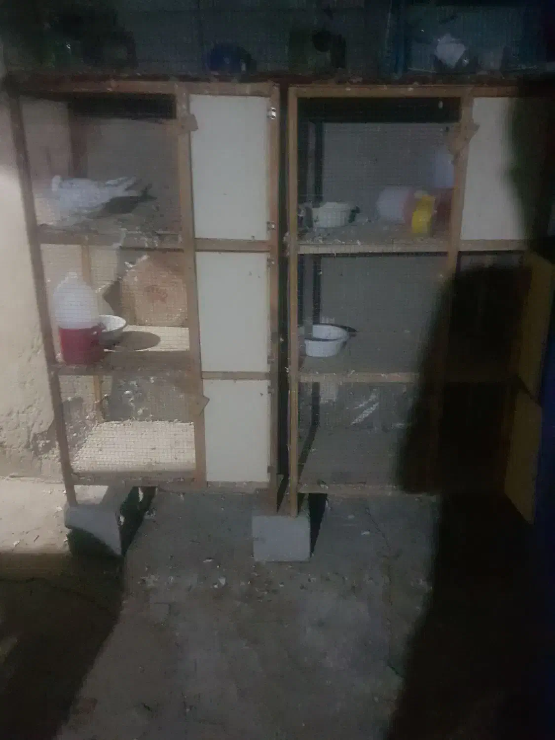 جفت کن با تمام وسیله|لوازم جانبی حیوانات|بندرعباس, |دیوار