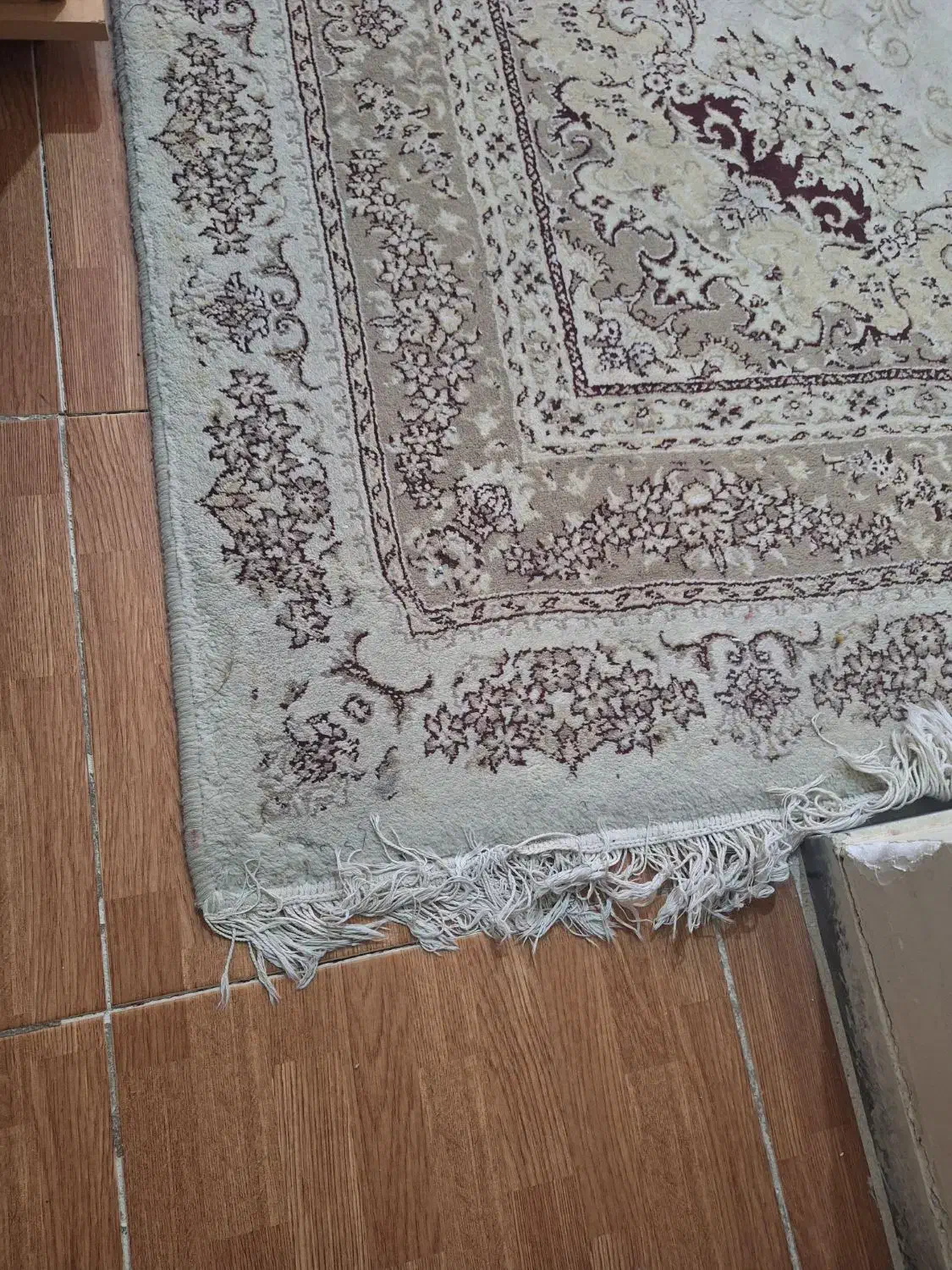 فرش ماشینی ۶ متری|فرش|فردیس, فردیس|دیوار