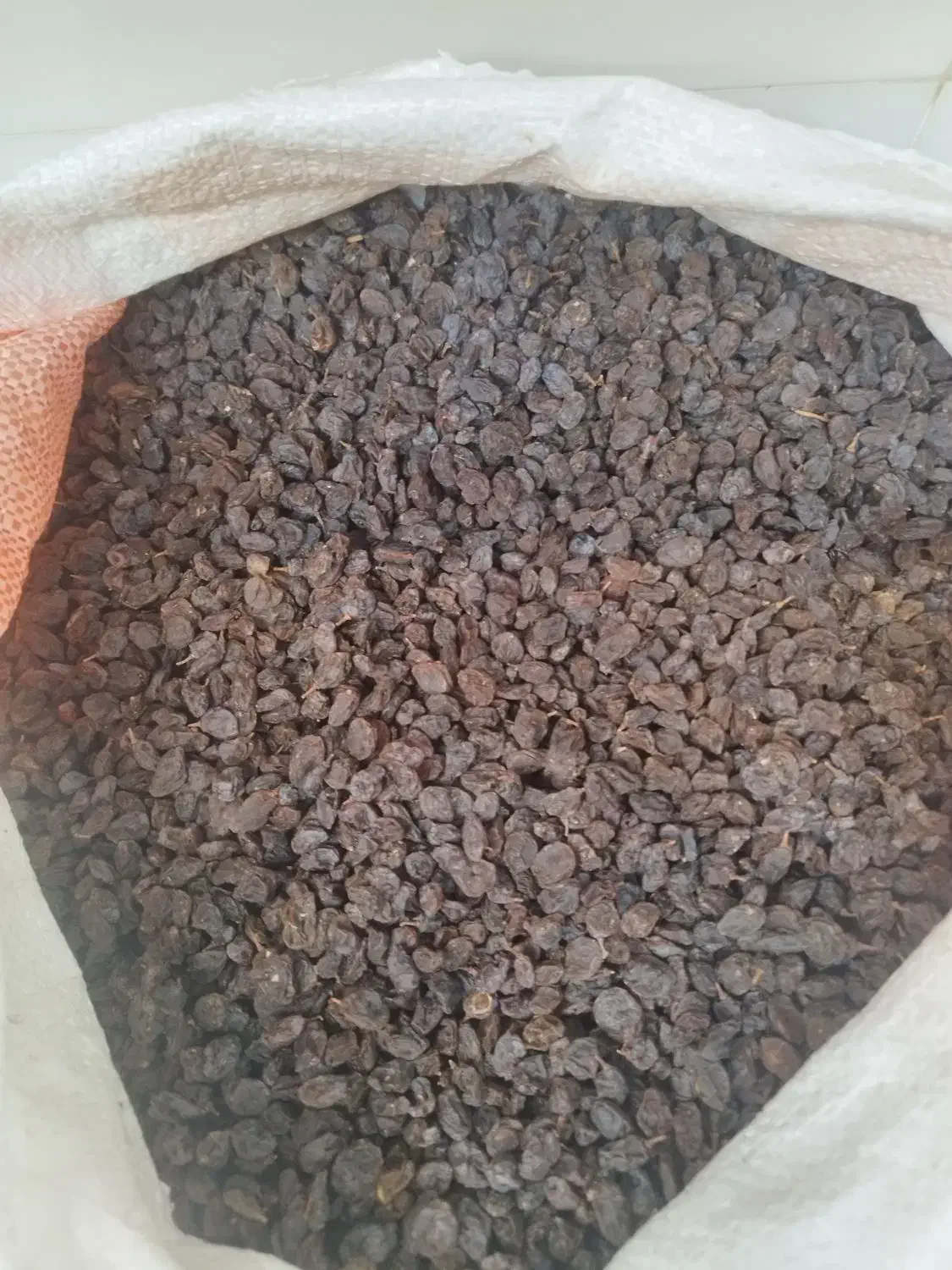 کشمش اصل بوانات|خوردنی و آشامیدنی|شیراز, نصر|دیوار