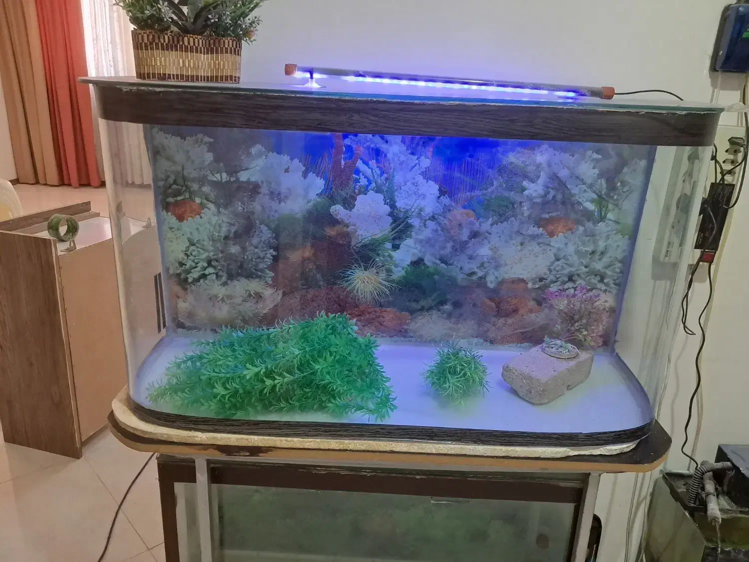 فروش 3 عدد آکواریم به علت جا به جایی|لوازم جانبی حیوانات|مشهد, ادیب نیشابوری (شهرک غرب)|دیوار