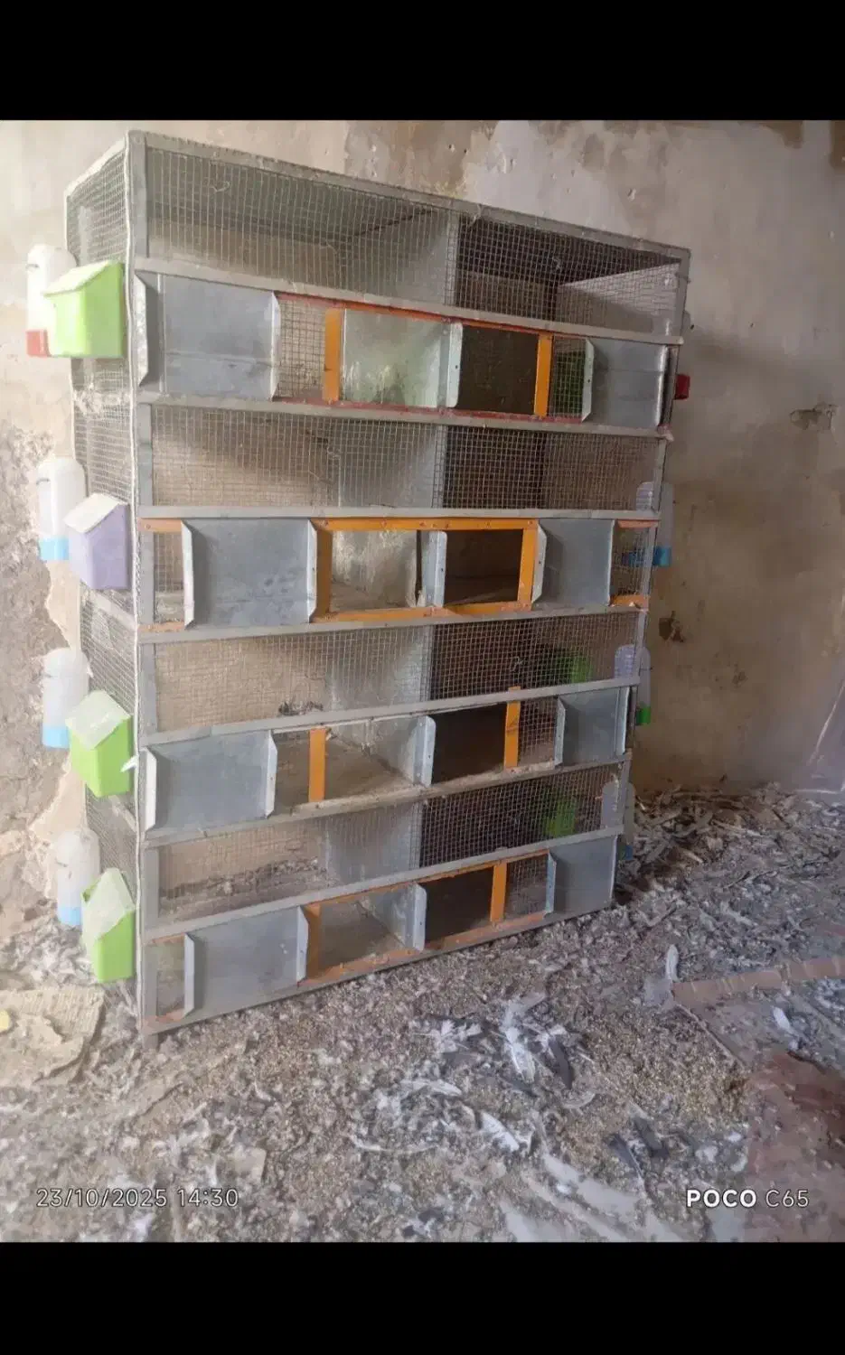 جفت کن کفتر|لوازم جانبی حیوانات|پیر بکران, |دیوار