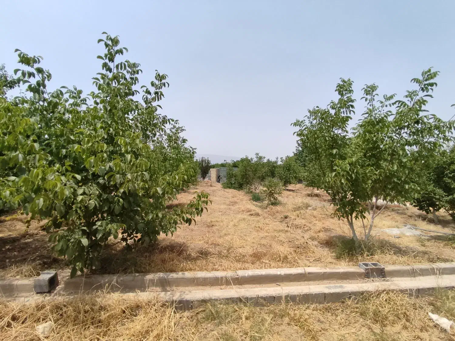 باغ شهری|فروش زمین و ملک کلنگی|سیدان, |دیوار