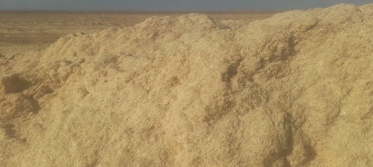 کاه کیلو ۱۳هزارتومن|عمدهفروشی|تربت جام, جامرود|دیوار