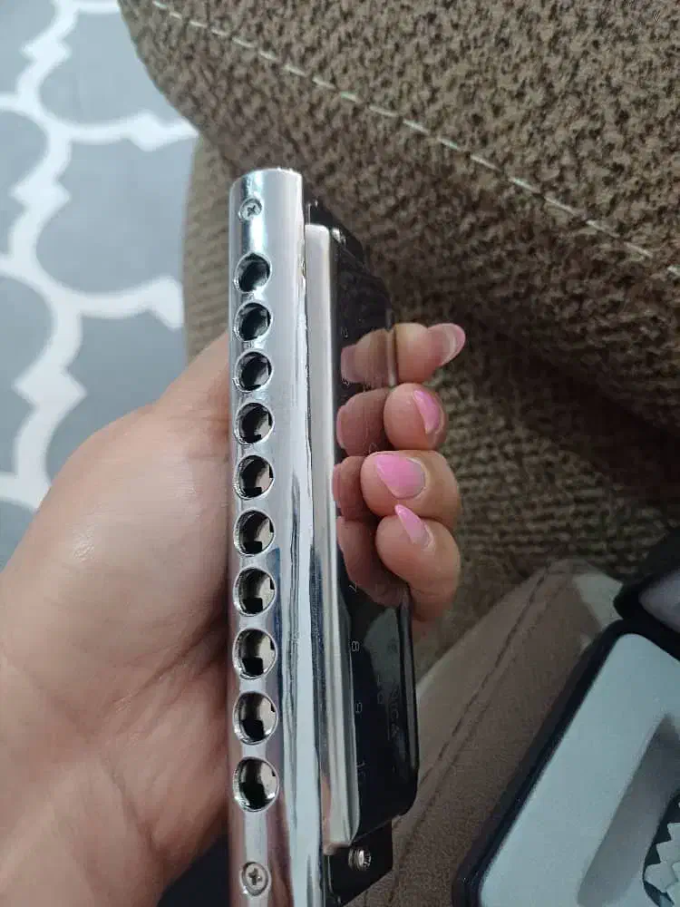 ساز دهنی|سازهای بادی|اندیمشک, |دیوار