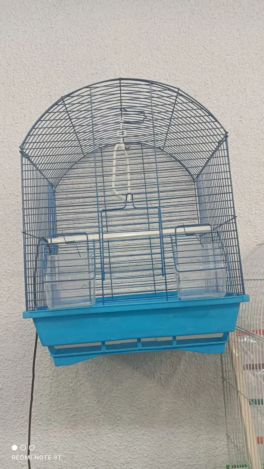 خانه پرندگان لاهیجان میدان جمهوری خیابان توحید|پرنده|لاهیجان, طالقانی|دیوار