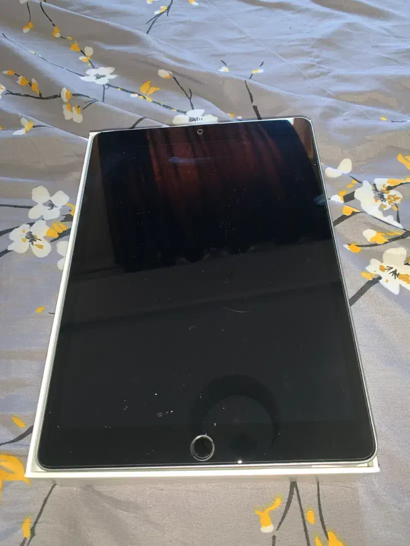 iPad Apple|تبلت|پردیس, فاز ۱۱|دیوار