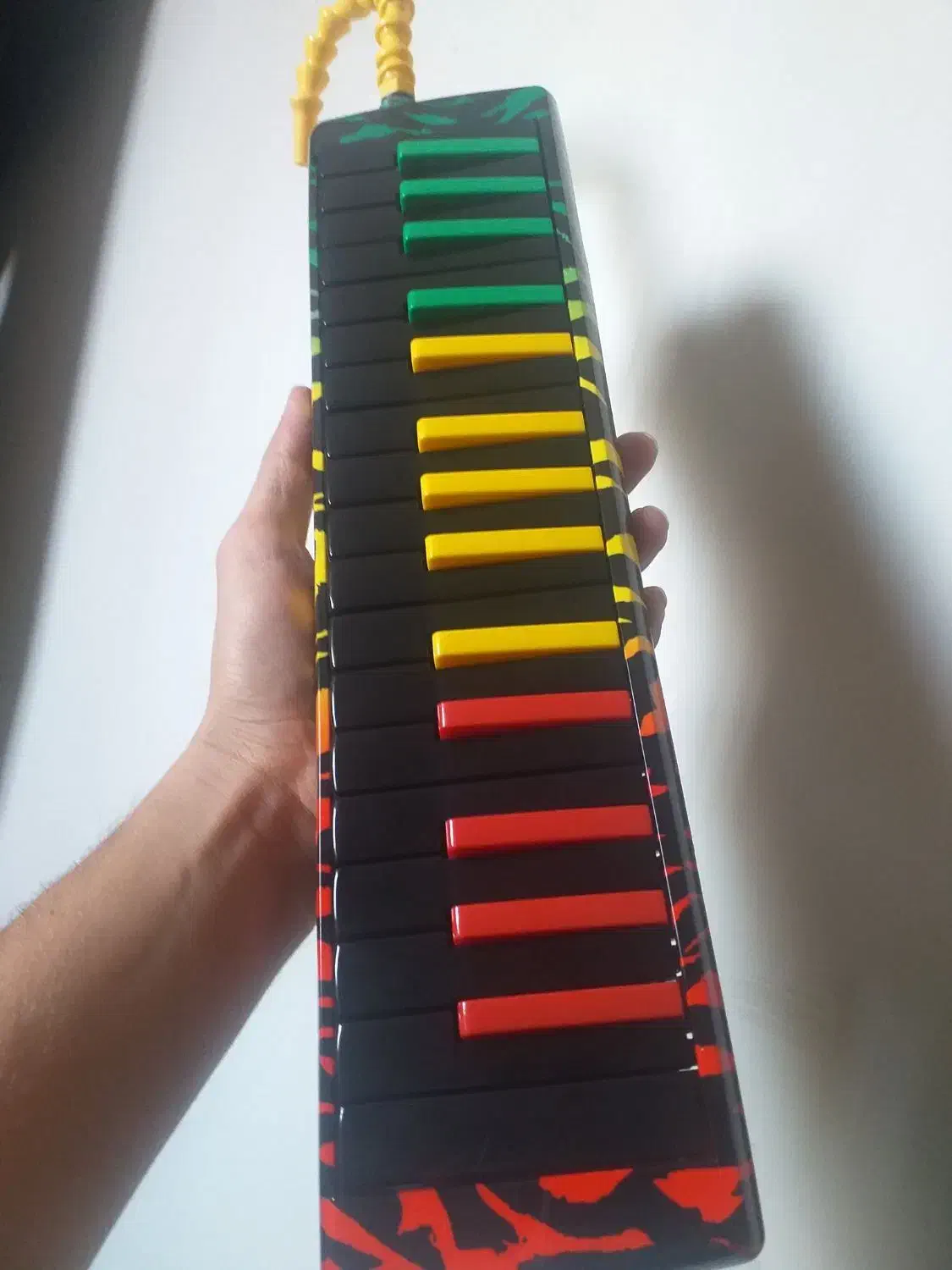 ملودیکا همراه کیس|سازهای بادی|تهران, نعمت‌آباد|دیوار