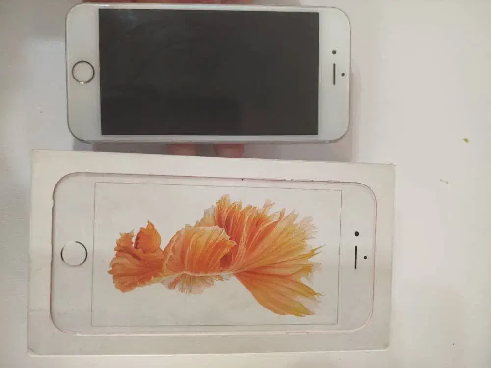 iPhone 6s|موبایل|تهران, شهران شمالی|دیوار