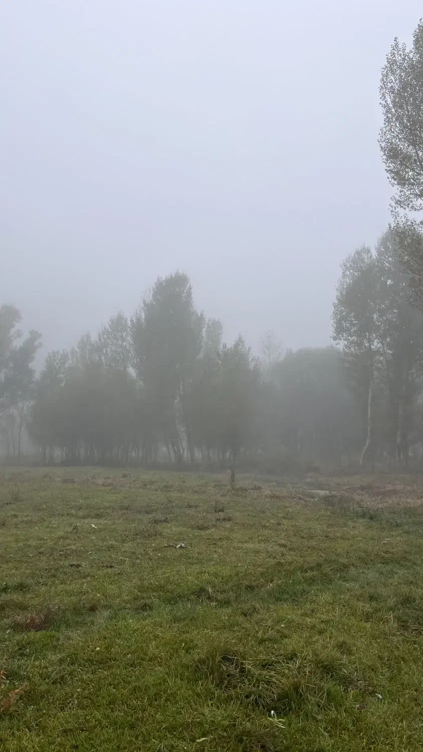 زمین باغ  در منطقه گردشگری بولاغلار نیر (اردبیل)|فروش زمین و ملک کلنگی|نیر (اردبیل), |دیوار