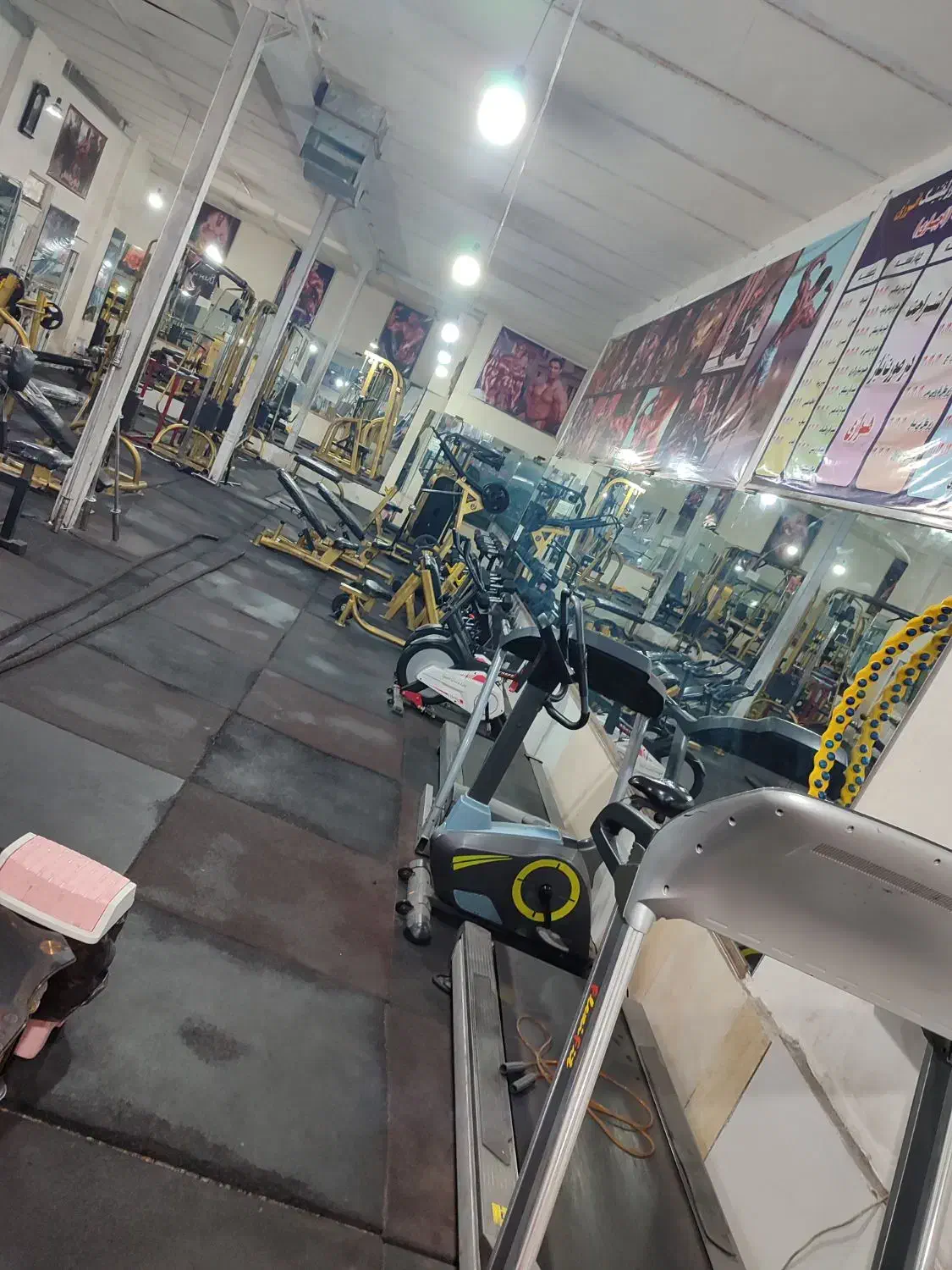 باشگاه بدنسازی درتربت حیدریه|تجهیزات ورزشی|تربت‌حیدریه, پائین ولایت|دیوار