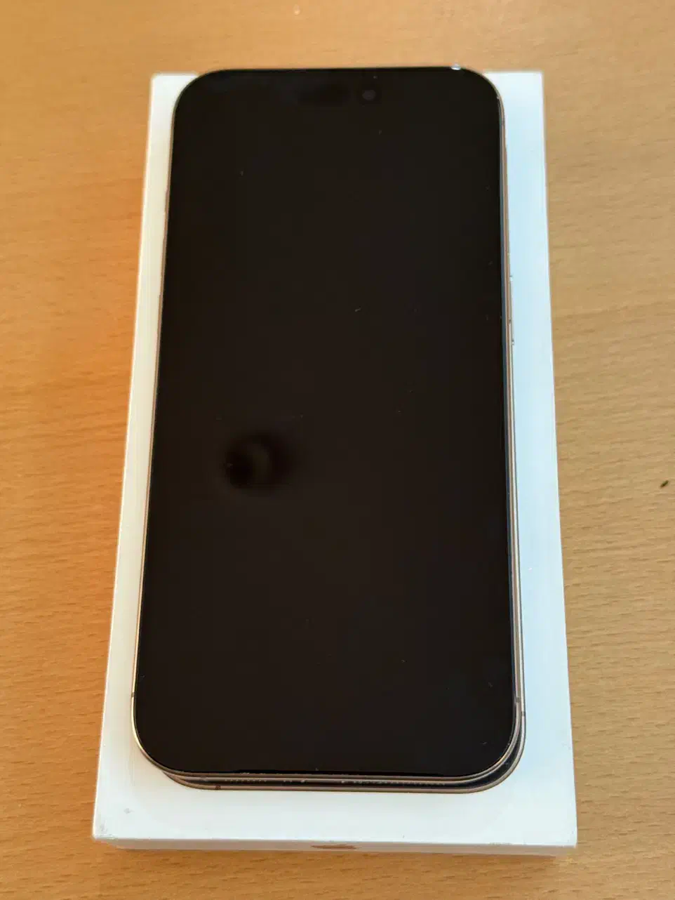 iPhone 16 pro max 256 2 sim|موبایل|شیراز, پارک آزادی|دیوار