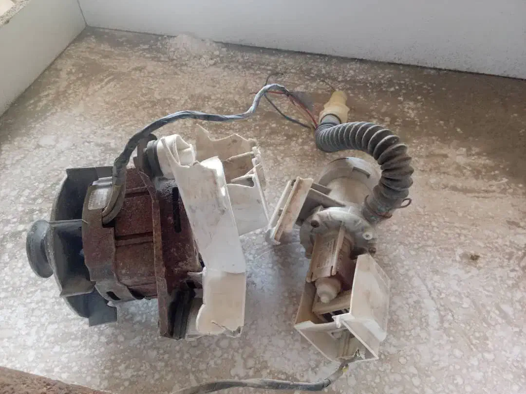 قفسه میوه فروشیب|فروشگاه و مغازه|رامشیر, |دیوار