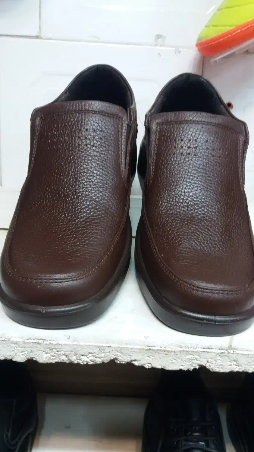 کفش برمودا|کیف، کفش، کمربند|اصفهان, شاهد|دیوار