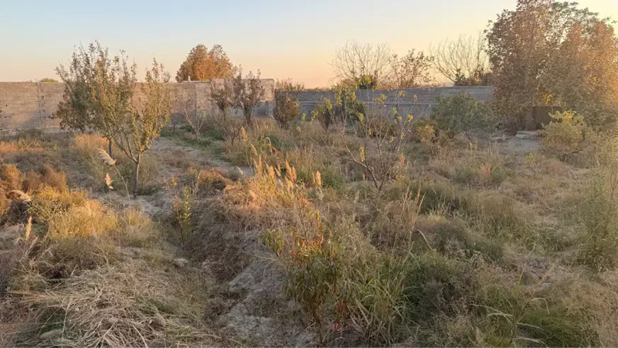 باغچه ۴دیواری|فروش زمین و ملک کلنگی|رباط‌کریم, انجم آباد|دیوار