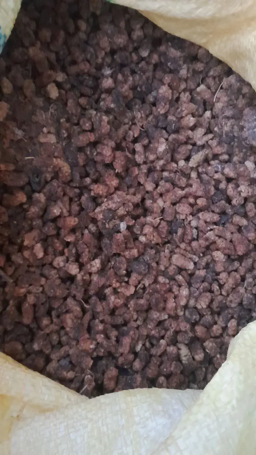 توت توت|خوردنی و آشامیدنی|مشگین شهر, |دیوار