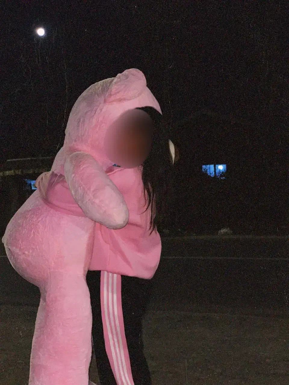 عروسک خرس صورتی|اسباببازی|رشت, حومه رشت|دیوار