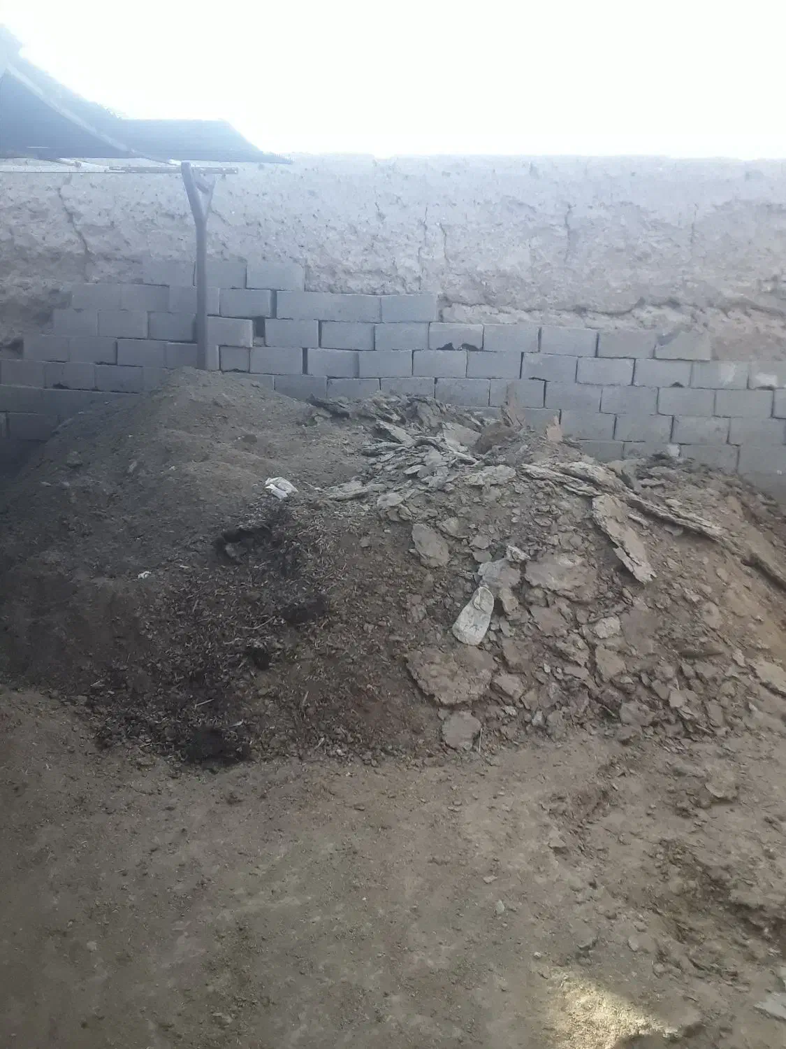 کود گاوی کهنه|خدمات باغبانی و درختکاری|زاهدان, |دیوار