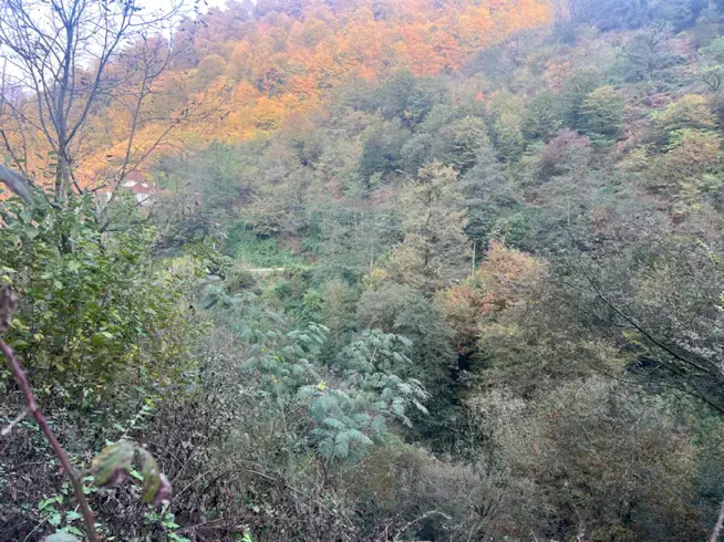 زمین ویلایی دربهارستان پشت باغ حافظ|فروش زمین و ملک کلنگی|آستارا, |دیوار