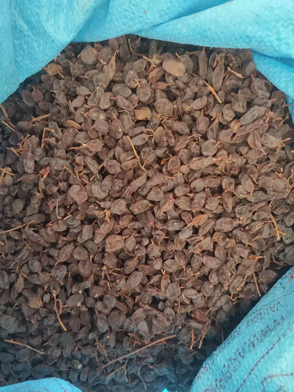 فروش کشمش و مویز(سیاه و رطبی)بش|خوردنی و آشامیدنی|شیراز, گویم|دیوار