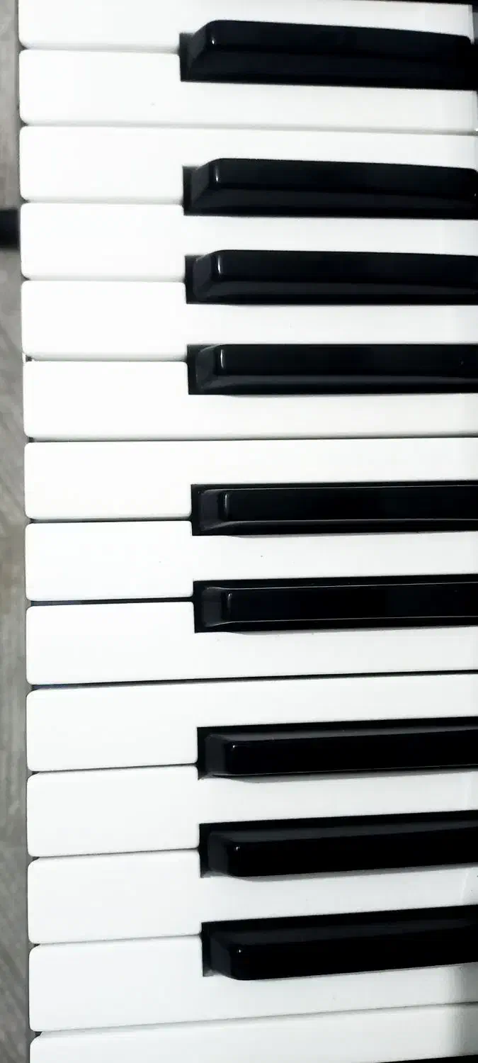 pa 800 کورگ|پیانو، کیبورد، آکاردئون|مشهد, سجاد شهر|دیوار