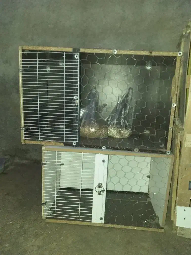 قفس کبوتر|لوازم جانبی حیوانات|آبدانان, |دیوار