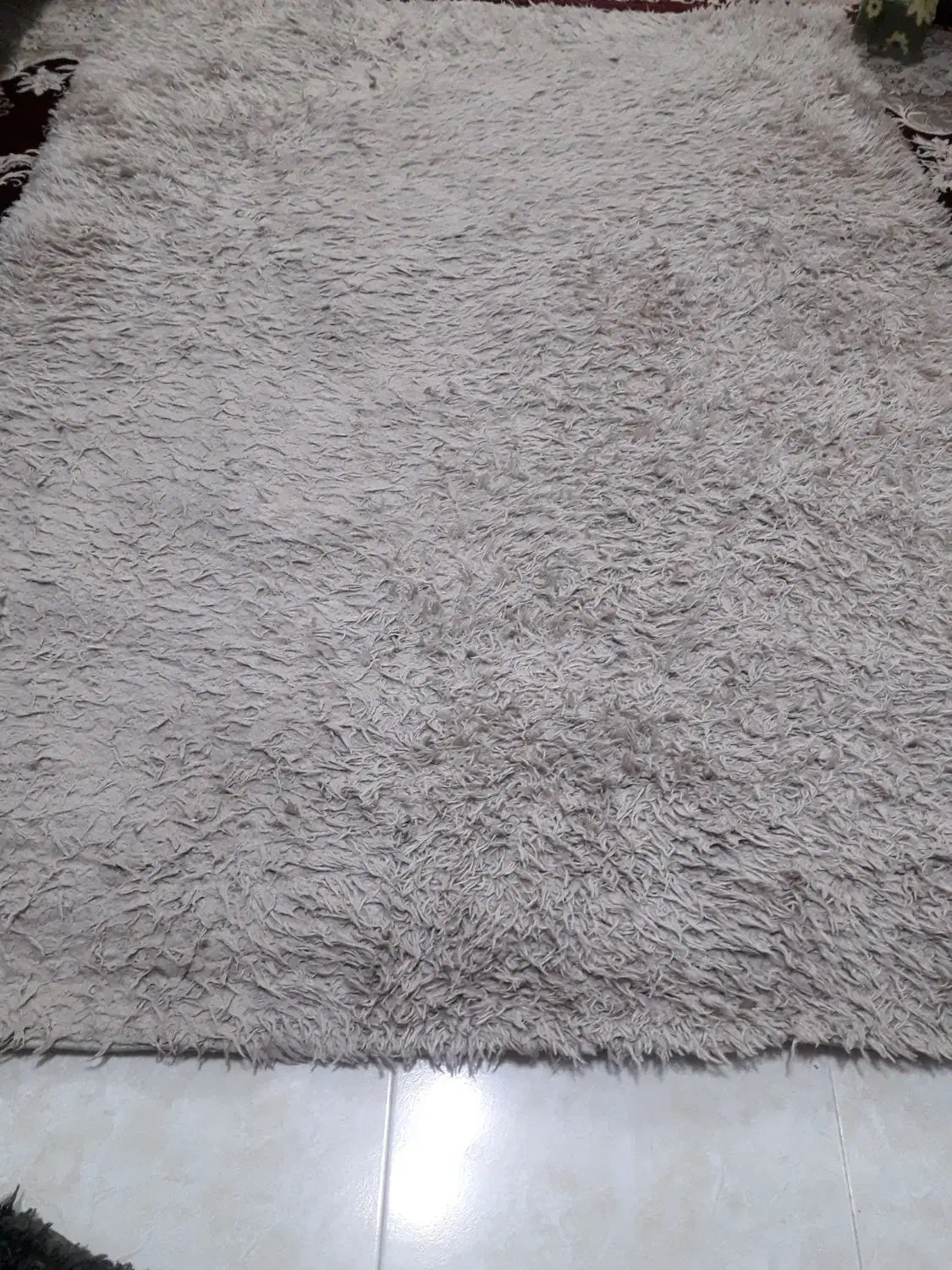 فرش شگی|فرش|رشت, یخسازی|دیوار