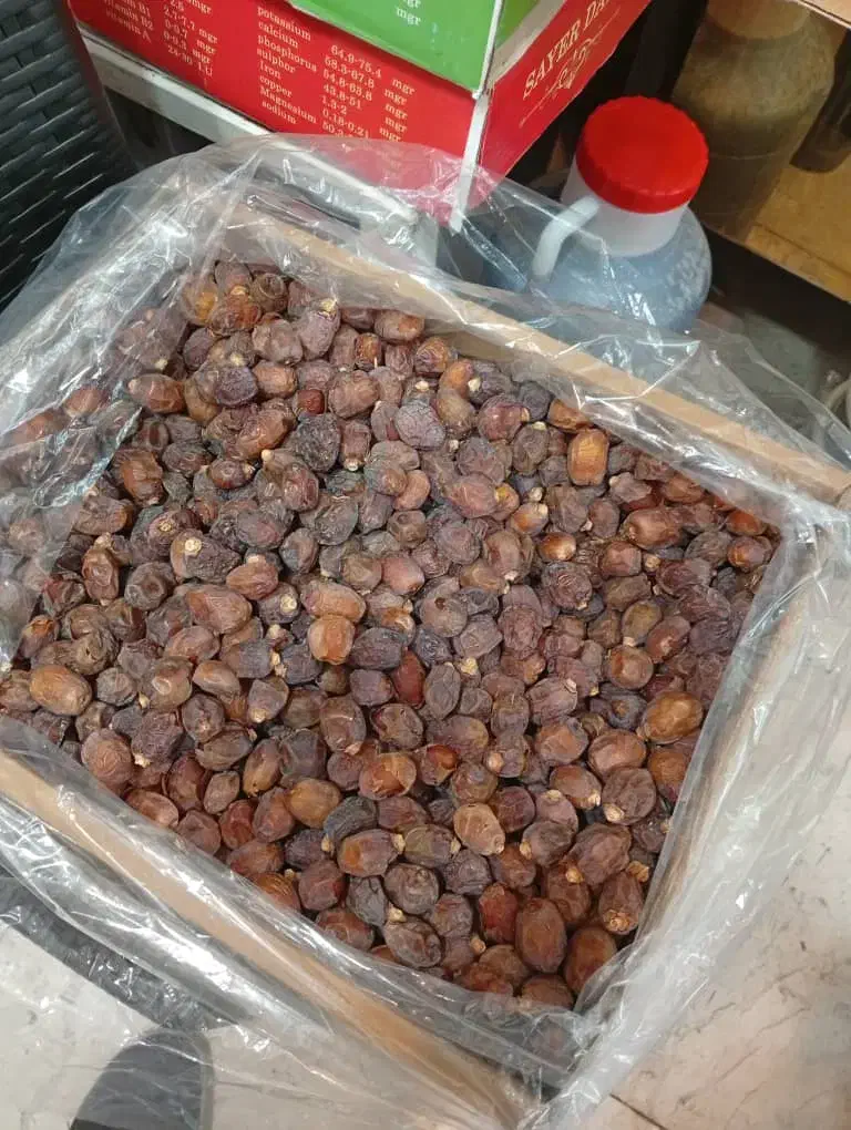 خرمای خاصویی درجه یک بدون شهد بصورت عمده|خوردنی و آشامیدنی|تهران, سلسبیل جنوبی|دیوار