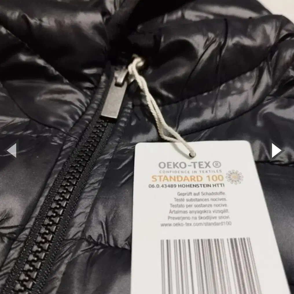 کاپشن|لباس|شازند, |دیوار